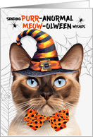 Burmese Halloween Cat PURRanormal MEOWolween card