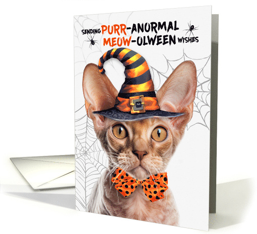 Devon Rex Halloween Cat PURRanormal MEOWolween card (1832308)