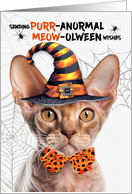 Devon Rex Halloween...