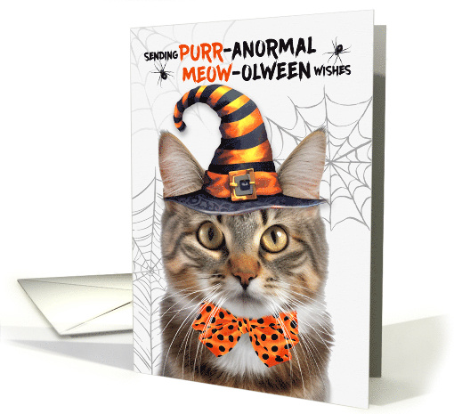 Tabby and White Halloween Cat PURRanormal MEOWolween card (1832320)