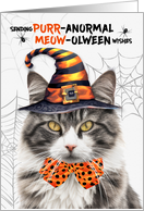 Gray and White Tabby Halloween Cat PURRanormal MEOWolween card
