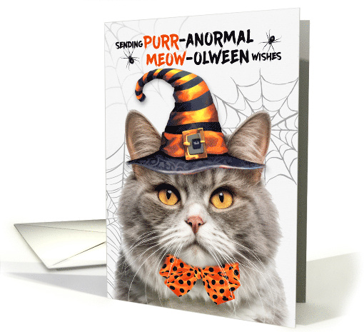 Gray Marbled Halloween Cat PURRanormal MEOWolween card (1832448)