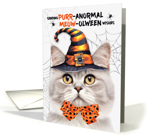 Silver Champagne Tabby Halloween Cat PURRanormal MEOWolween card