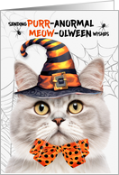 Silver Champagne Tabby Halloween Cat PURRanormal MEOWolween card