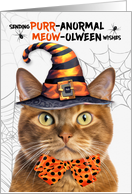 Ginger Halloween Cat PURRanormal MEOWolween card