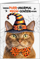 Ginger Halloween Cat...