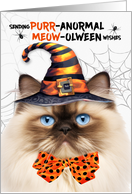 Himalayan Halloween Cat PURRanormal MEOWolween card