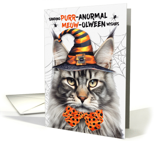Silver Maine Coon Halloween Cat PURRanormal MEOWolween card (1832922)