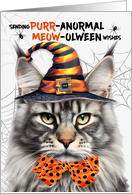 Silver Maine Coon Halloween Cat PURRanormal MEOWolween card