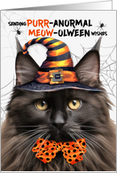 Brown Maine Coon Halloween Cat PURRanormal MEOWolween card
