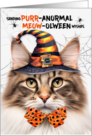 Brown Norwegian Forest Halloween Cat PURRanormal MEOWolween card