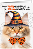Apricot Norwegian Forest Halloween Cat PURRanormal MEOWolween card