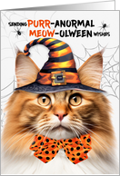 Red Norwegian Forest Halloween Cat PURRanormal MEOWolween card