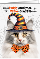 Silver Norwegian Forest Halloween Cat PURRanormal MEOWolween card