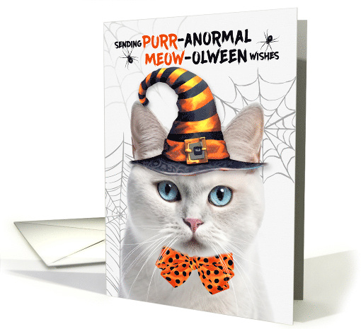 White Shorthair Halloween Cat PURRanormal MEOWolween card (1833688)