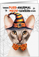 Oriental Shorthair Halloween Cat PURRanormal MEOWolween card