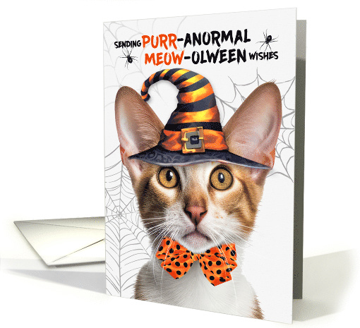 Oriental Shorthair Tabby Halloween Cat PURRanormal MEOWolween card