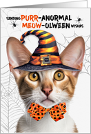 Oriental Shorthair Tabby Halloween Cat PURRanormal MEOWolween card