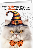 Cream Persian Halloween Cat PURRanormal MEOWolween card