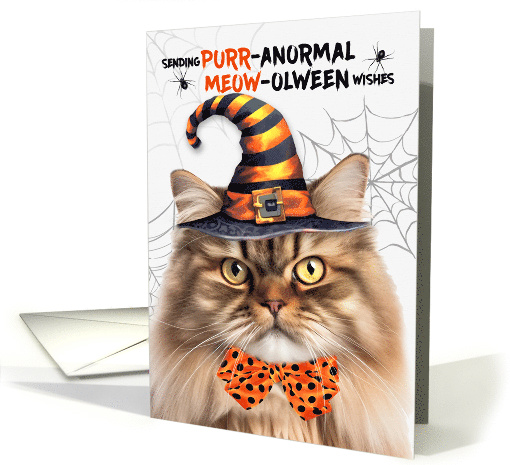 Tri Color Tabby Persian Halloween Cat PURRanormal MEOWolween card