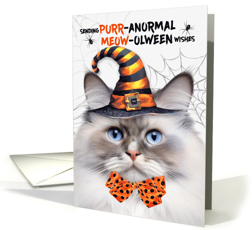 Ragdoll Lilac Point Halloween Cat PURRanormal MEOWolween card