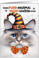 Ragdoll Lilac Point Halloween Cat PURRanormal MEOWolween card