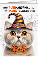Scottish Fold Cream Halloween Cat PURRanormal MEOWolween card