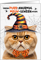 Scottish Fold Orange Halloween Cat PURRanormal MEOWolween card