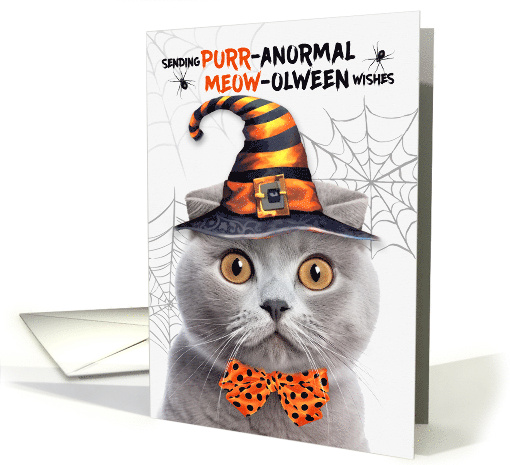 Scottish Fold Gray Halloween Cat PURRanormal MEOWolween card (1834840)