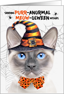 Siamese Lilac Point Halloween Cat PURRanormal MEOWolween card