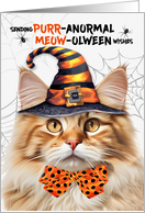 Fluffy Orange Tabby Halloween Cat PURRanormal MEOWolween card