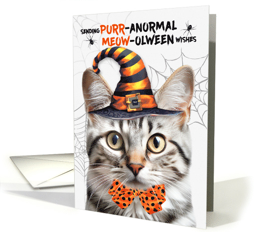 Silver Tabby Halloween Cat PURRanormal MEOWolween card (1835104)