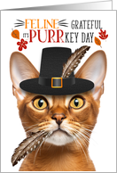 Abyssinian Thanksgiving Cat Feline Grateful for PURRkey Day card