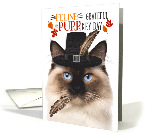 Birman Thanksgiving Cat Feline Grateful for PURRkey Day card (1835290)