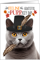 Gray Britsh Shorthair Thanksgiving Cat Feline Grateful PURRkey Day card