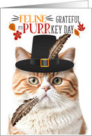 Orange British Shorthair Thanksgiving Cat Grateful PURRkey Day card