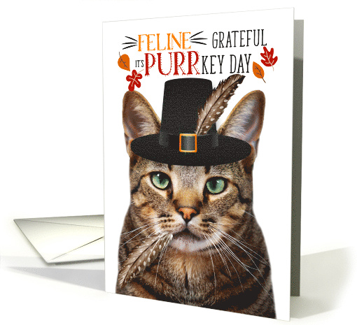 Brown Tabby Thanksgiving Cat Grateful PURRkey Day card (1836272)