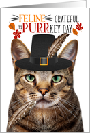 Brown Tabby Thanksgiving Cat Grateful PURRkey Day card