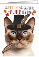 Burmese Thanksgiving Cat Grateful PURRkey Day card