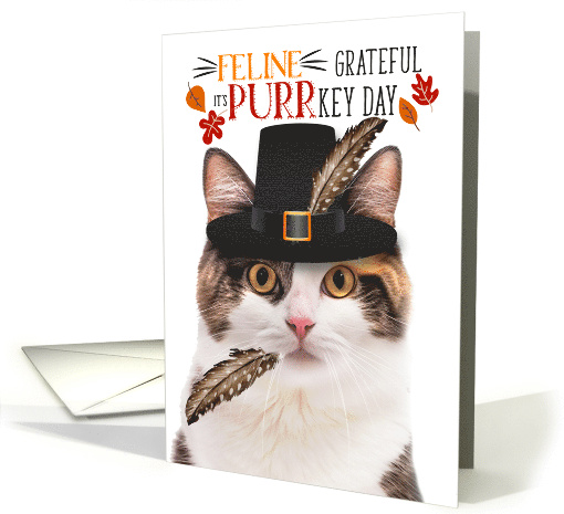 Calico Thanksgiving Cat Grateful PURRkey Day card (1836290)