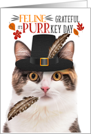 Calico Thanksgiving Cat Grateful PURRkey Day card