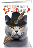 Chartreux Gray Thanksgiving Cat Grateful PURRkey Day card