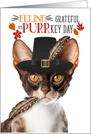 Cornish Rex Thanksgiving Cat Grateful PURRkey Day card