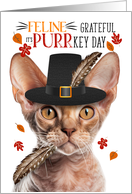Devon Rex Thanksgiving Cat Grateful PURRkey Day card