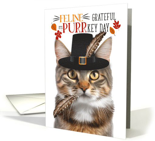 Brown Tabby Thanksgiving Cat Grateful PURRkey Day card (1836798)