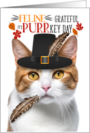 Shorthair Orange Tabby Thanksgiving Cat Grateful PURRkey Day card