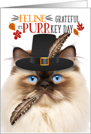 Himalayan Thanksgiving Cat Grateful for PURRkey Day card