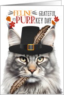 Silver Maine Coon Tabby Thanksgiving Cat Grateful for PURRkey Day card