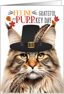 Brown Tabby Maine Coon Thanksgiving Cat Grateful for PURRkey Day card