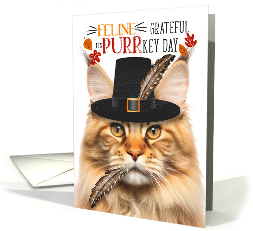 Orange Tabby Maine Coon Thanksgiving Cat Grateful for PURRkey Day card